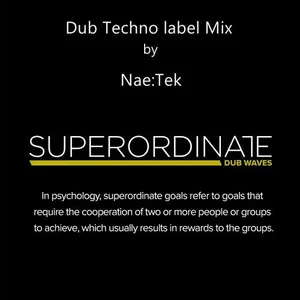 Nae:Tek - Superordinate Dub Waves - Dub Techno Label Mix - 2018 cover image