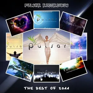 Nicholas Antony - The Best Of Pulsar 2011 - 2011 cover image