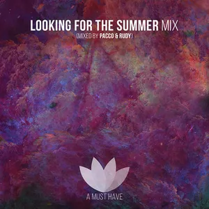 Pacco & Rudy B - Looking For The Summer Mix - 2017 cover image