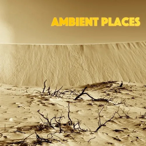 P.M.FM - Ambient Places - 2019 cover image