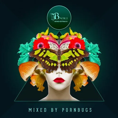 Pornbugs - Deep Value Vol. 2 - 2017 cover image