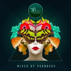 Pornbugs - Deep Value Vol. 2 - 2017 cover image