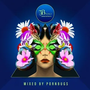 Pornbugs - Deep Value Vol. 4 - 2019 cover image