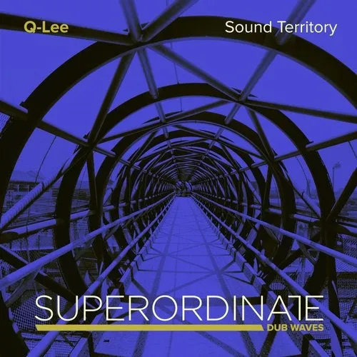 Q-Lee - Superordinate Dub Waves - Sound Territory 2019 - 2019 cover image