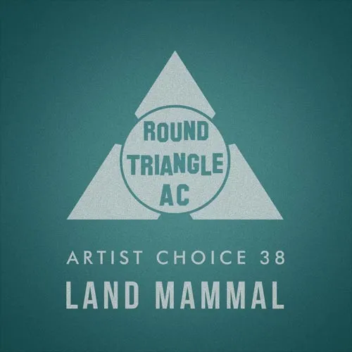 Round Triangle AC - Artist Choice 38 - Land Mammal - 2020 cover image