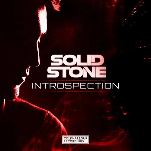 Solid Stone - Introspection - 2016 cover image