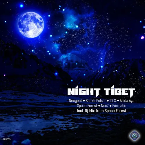 Space Forest - Night Tibet - 2022 cover image