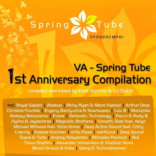Spring Tube - 1st Anniversary Compilation - Part 2 - DJ SlanG - 2010 cover image