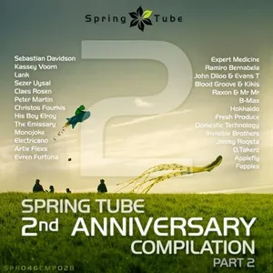 Spring Tube - 2nd Anniversary Compilation - Part 2 - DJ SlanG - 2011 cover image