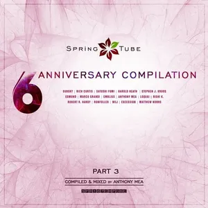 Spring Tube - 6th Anniversary Compilation - Part 3 - Anthony Mea - 2015 cover image