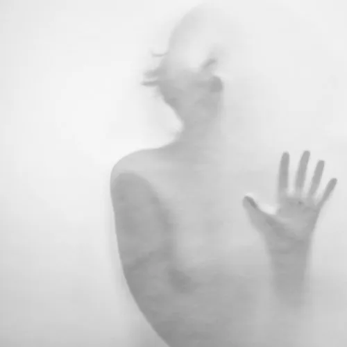 Sun Drine - Amselcom's Never Grow Old - 2019 cover image