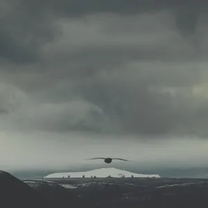 SVLBRD - Stratus (Remodel) - 2018 cover image