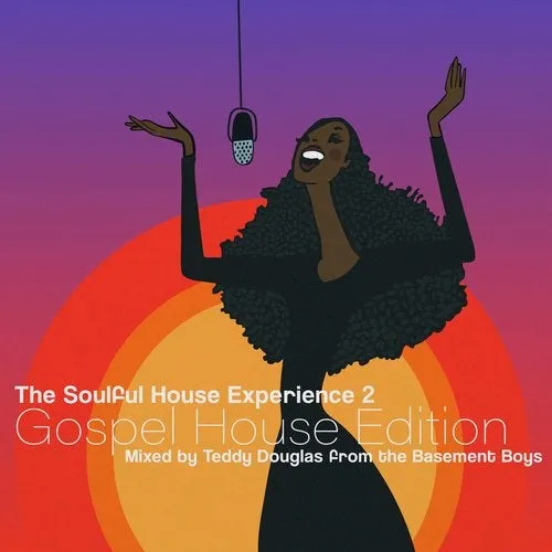 Teddy Douglas - The Soulful House Experience Vol. 2 - Gospel House Edition - 2003 cover image