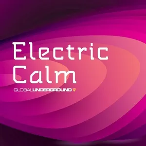 Trafik - Global Underground - Electric Calm V.5 - 2009 cover image