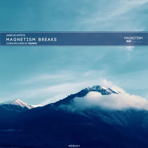 Trukers - Magnetism Breaks - 2014 cover image