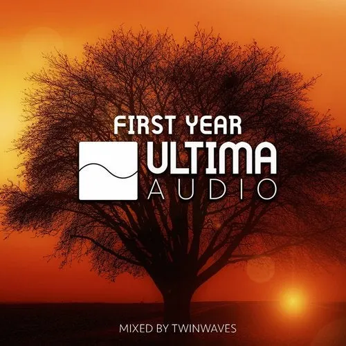Twinwaves - First Year Of Ultima Audio - 2019 cover image