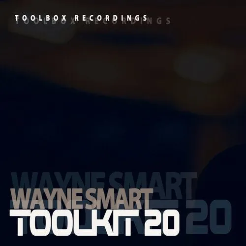Wayne Smart - Toolkit Vol. 20 - 2019 cover image