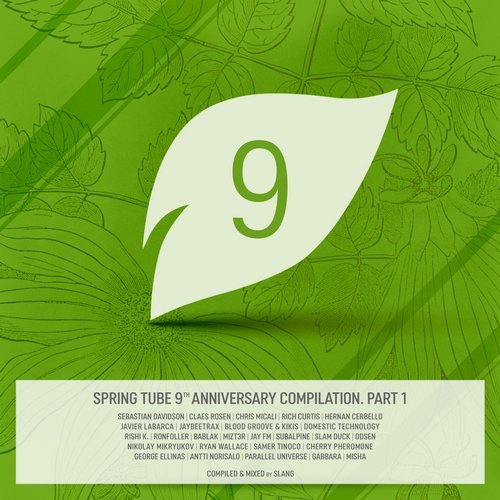 Cover for Spring Tube - 9th Anniversary Compilation - Part 1 - DJ SlanG - 2018