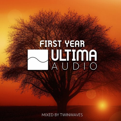 Cover for Twinwaves - First Year Of Ultima Audio - 2019